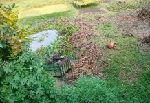 আড়াইহাজারে গরু বোঝাই নছিমন উল্টে নিহত ১