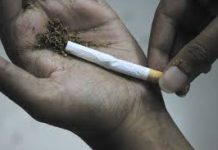 আড়াইহাজারে গাঁজাসহ মাদক ব্যবসায়ী আটক
