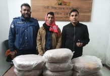 চালারচরে ১৪ কেজি গাঁজাসহ মাদক কারবারি আটক