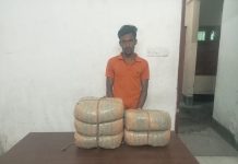 বিশনন্দী ফেরিঘাটে ১০ কেজি গাঁজাসহ আটক ১