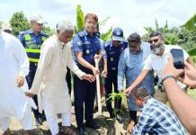 পরিবেশ সংরক্ষণে সোনারগাঁয়ে ট্যুরিস্ট পুলিশের বৃক্ষরোপণ কর্মসূচি