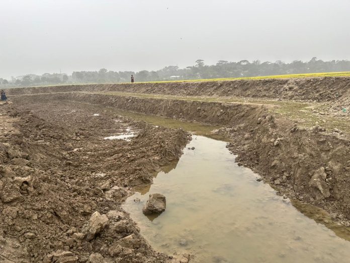 Araihazar photo Agri Land