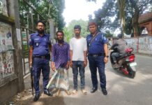 আড়াইহাজারে মোবাইল কোর্ট: মাদক মামলায় দুজনের কারাদণ্ড