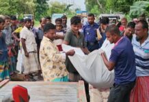 মাধবদীতে সড়ক দূর্ঘটনায় নিহত দুই, সিএনজি ড্রাইভার আটক